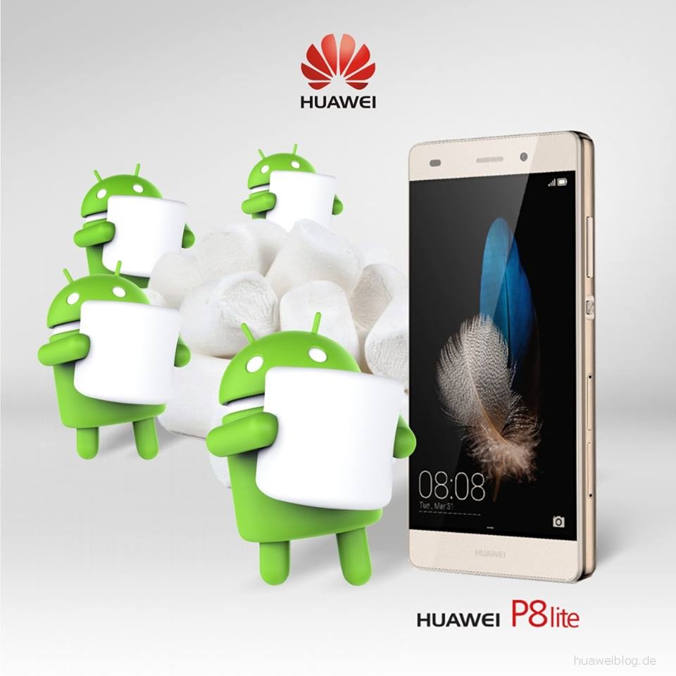 Huawei P8 Lite Dual SIM Android 6 Marshmallow Firmware Update Download
