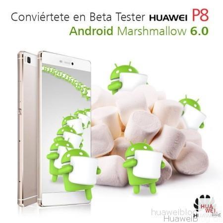 Huawei P8 Marshmallow Test