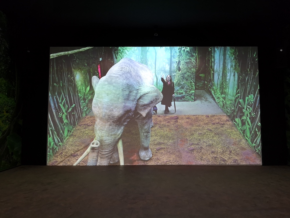 Huawei und der Grusel in der Zoom Erlebniswelt 11 zoom_05