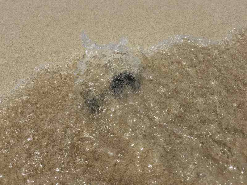 Mit der HUAWEI Watch GT 3 Pro Tauchen und Schwimmen im Meer 9 HUAWEI Watch GT 3 Pro Tauchen